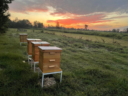 Cinnamon Creamed Whipped Honey