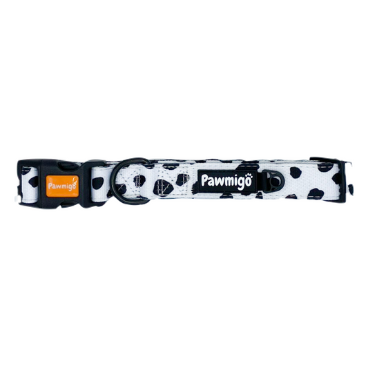 Polka Dog Classic Collar