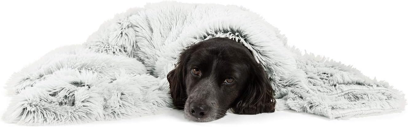 Best Friends by Sheri Blanket Shag Frost 40x50