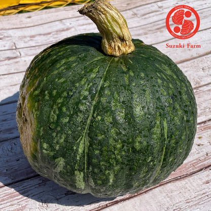 KABOCHA Squash | Suzuki Farm | 1 pc