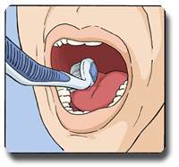 Curvy Angled Toothbrush Soft for Adults Manual