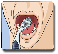 Curvy Angled Toothbrush Soft for Adults Manual