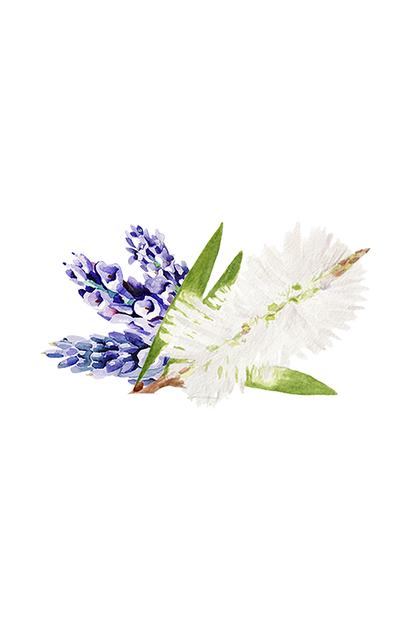 Lavender & Tea Tree Essential Oil Blend