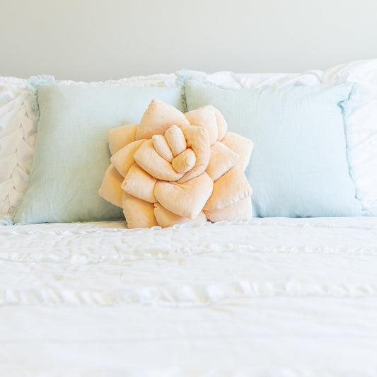 Lil' Pop Succulent® - Blush Peach