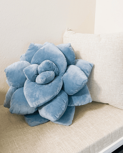 Lil' Pop Succulent® - Smokey Blue