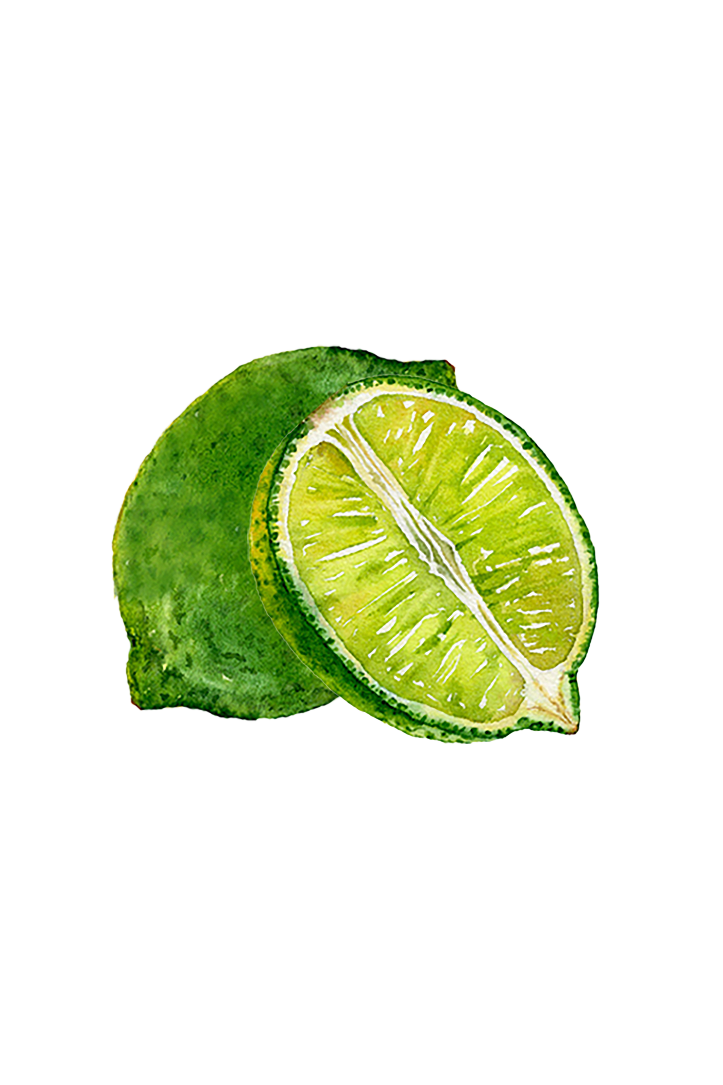 Lime Essential Oil