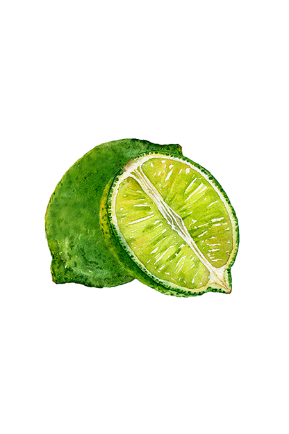 Lime Essential Oil