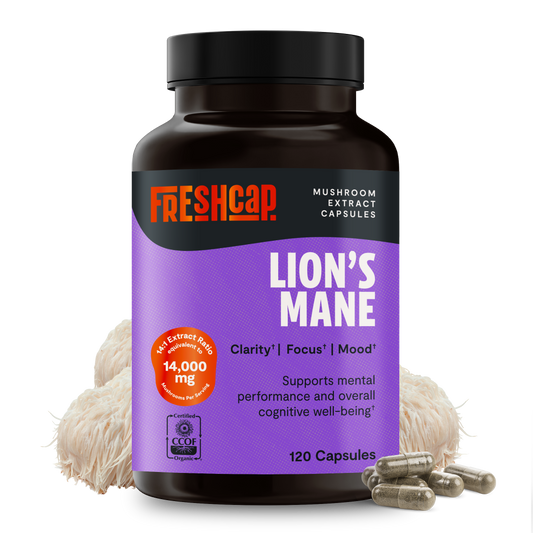 Lion's Mane Mushroom Extract Capsules