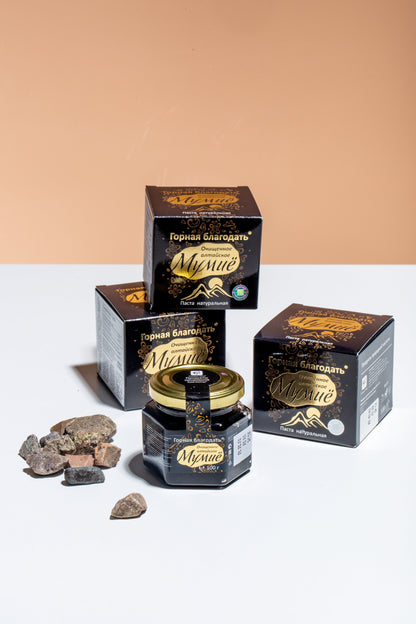 Siberian Shilajit Altai Mumijo Resin | Mountain Grace 100g (Sachera-Med)