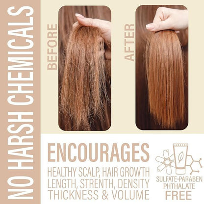 Unscented Shampoo Bar - Strength