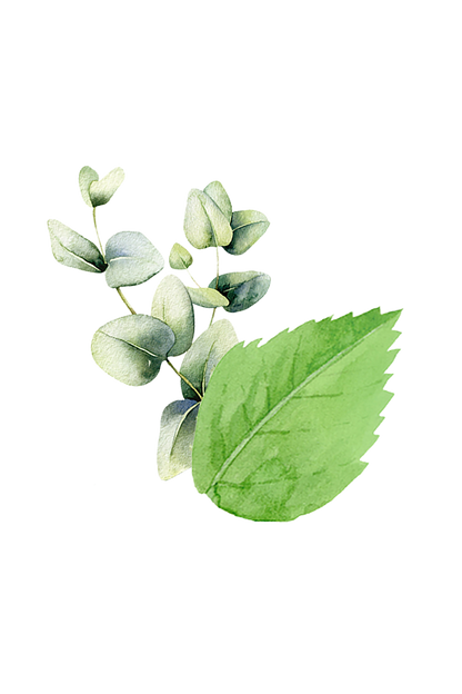 Mint & Eucalyptus Essential Oil Blend
