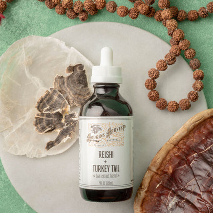 Reishi + Turkey Tail Dual Extract Tincture