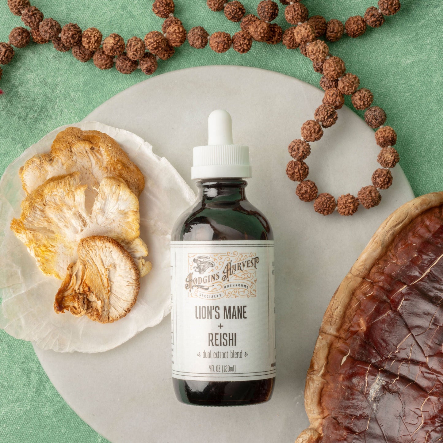 Lion's Mane + Reishi Dual Extract Tincture