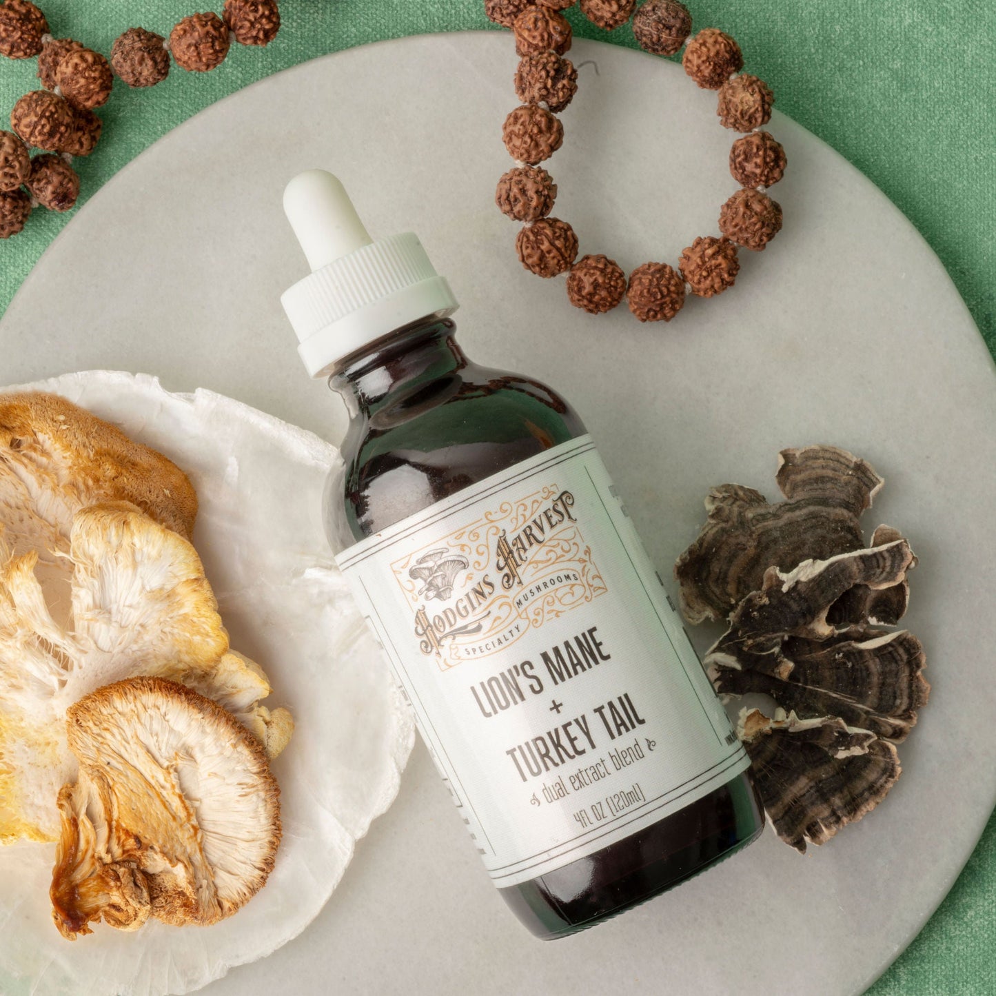 Lion's Mane + Turkey Tail Dual Extract Tincture