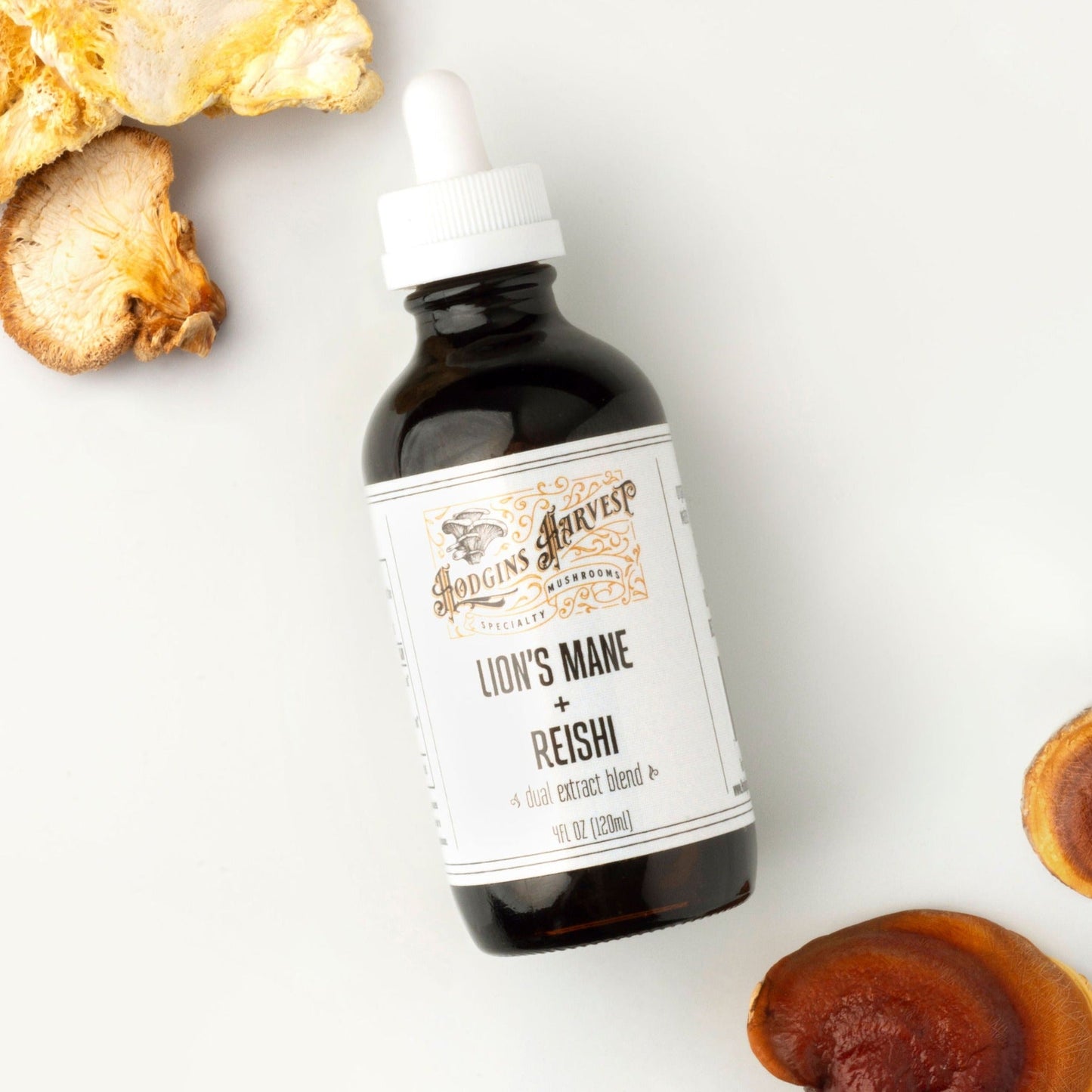 Lion's Mane + Reishi Dual Extract Tincture