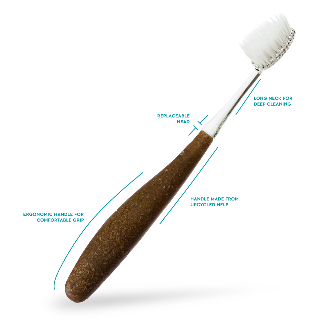 Source Replacement Head Toothbrush