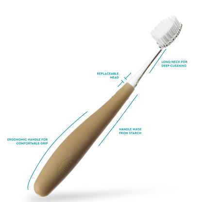 Source Replacement Head Toothbrush