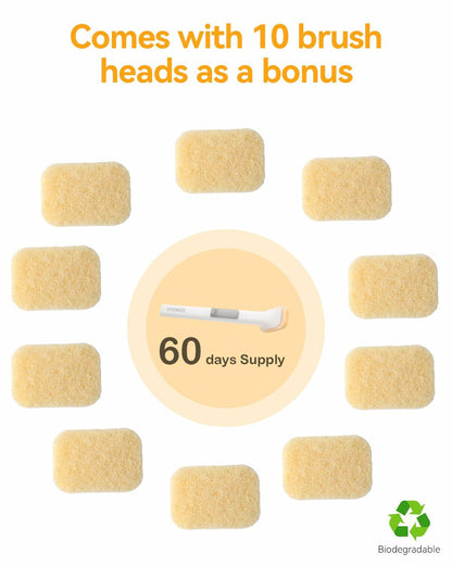 Soap Dispensing Dish Brush Set with 1 Long Handle & 10 Natural Loofah Sponges