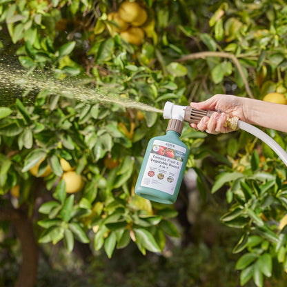 Organic Tomato, Fruit & Vegetable Boost