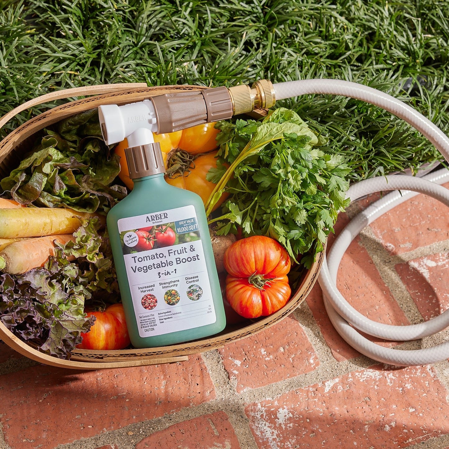 Organic Tomato, Fruit & Vegetable Boost