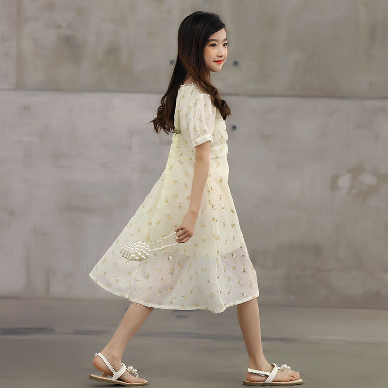 Arrival Summer Kids Girls French Style Chiffon Fashion Short Sleeves Floral Dress