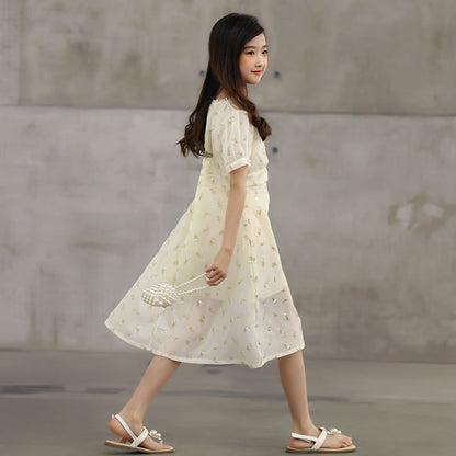 Arrival Summer Kids Girls French Style Chiffon Fashion Short Sleeves Floral Dress