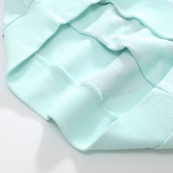 Baby Boy All Over Dinosaur Pattern Hoodie And Shorts Sets