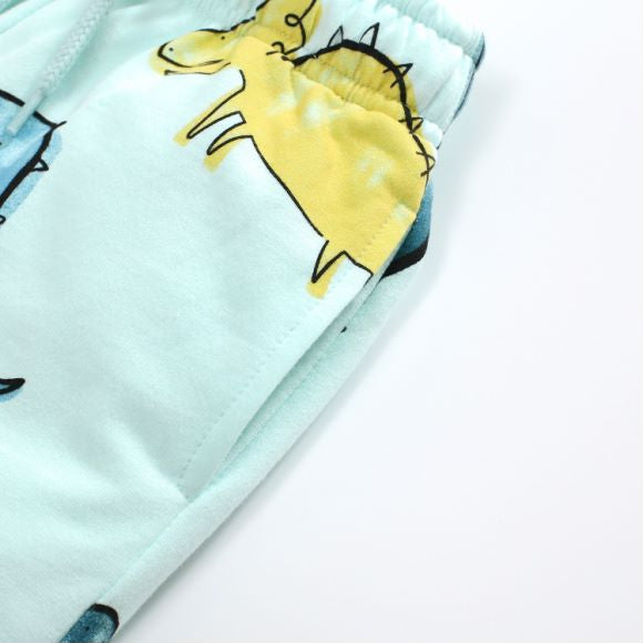 Baby Boy All Over Dinosaur Pattern Hoodie And Shorts Sets