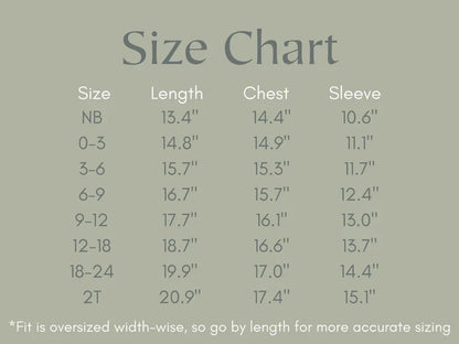 Silly Goose Bamboo Baby Romper - teal or blue