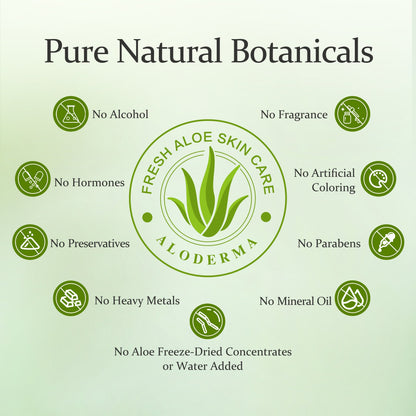 Essential Aloe Brightening Set