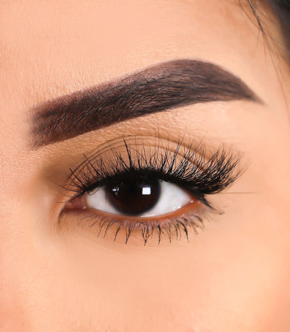 3D Mink Eyelashes - Record