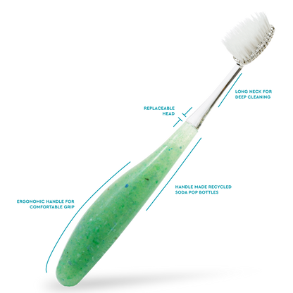 Source Replacement Head Toothbrush