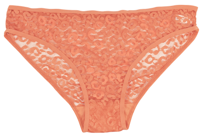 Leopard Lace Hipster