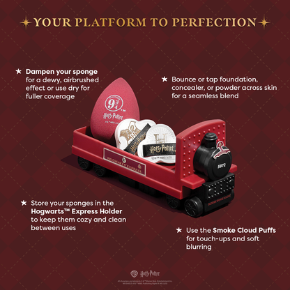 Harry Potter Holiday | Hogwarts™ Express Sponge Set