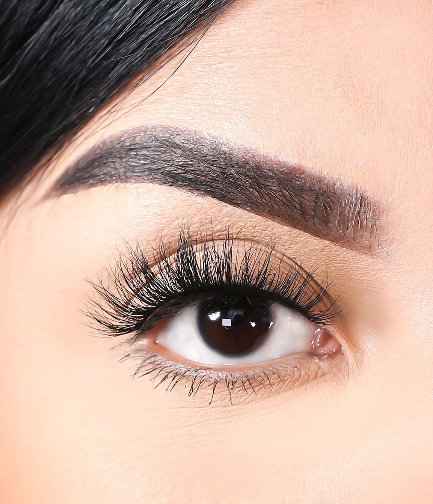 3D Mink Eyelashes - Wolves